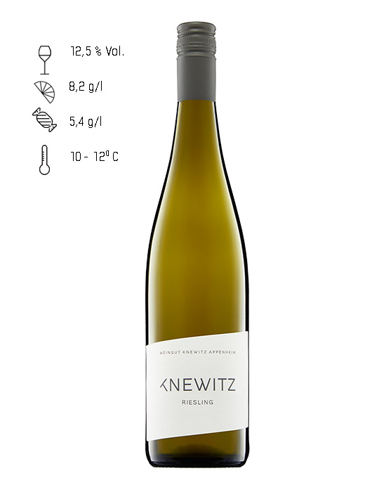 KNEWITZ Riesling trocken 2023