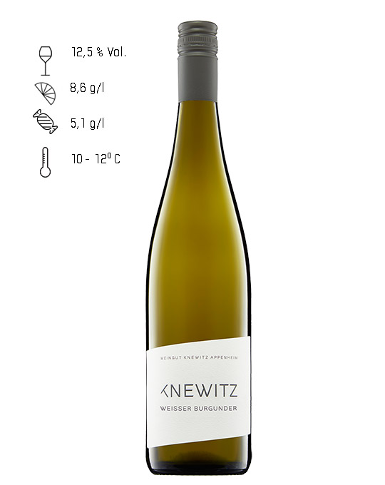 KNEWITZ Weisser Burgunder 2023